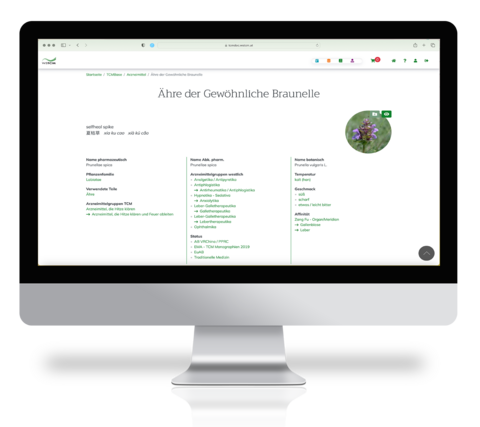 Computer Bildschirm mit geöffneter TCMbase Webseite für die Ähre der gewöhnlichen Braunelle